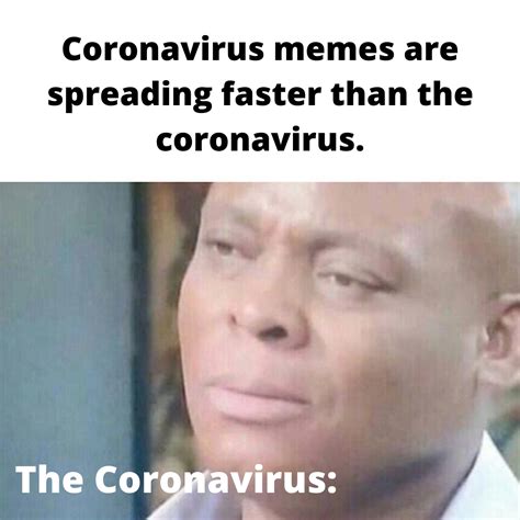 Coronavirus Memes Rtrollcoping