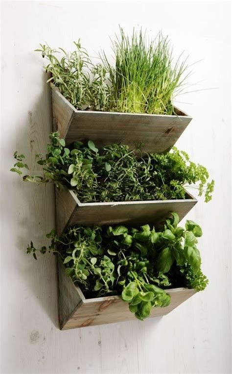 Image Result For Living Wall Herb Apartment Vertical Herb Garden
