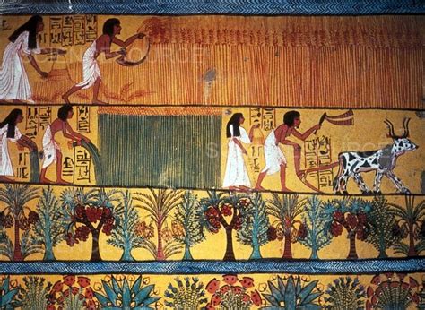 Ancient Egyptian Agriculture 1200 Bc Stock Image Science Source Images