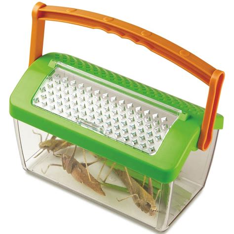 La naturaleza está plagada de insectos de todo tipo. Casa de Insectos - kinuma.com