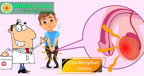 Cara Mengobati Orchitis Dengan Pengobatan Modern Klinik Apollo Jakarta