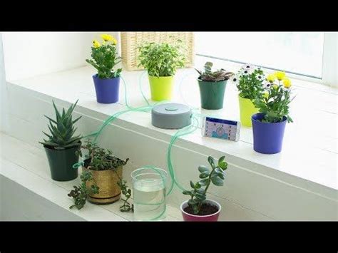 Are you as forgetful about watering the plants as i am? YouTube | Indoor plants, Plants, Self watering