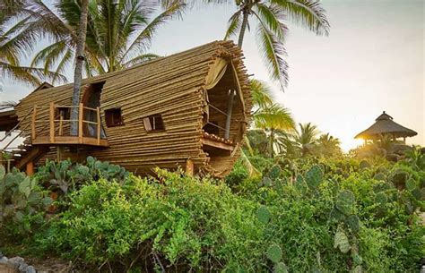 The Most Amazing Tree House Hotels Around The World