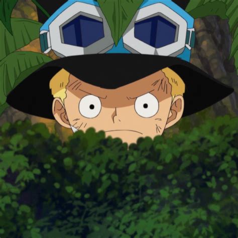 One Piece Matching Pfp Ace And Luffy One Piece Chopper One Piece Anime
