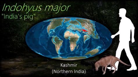 1 Indohyus Major Indias Pig Kashmir N India Early Eocen Flickr