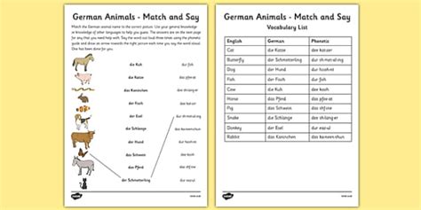 How To Say The German Words For Pets Twinkl
