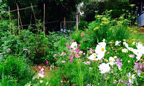 How To Create A Bee Friendly Garden Our Permaculture Life