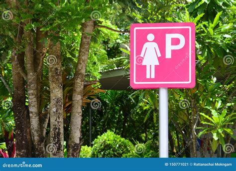 pink ladies parking sign mark on nature background copy space stock image image of reserved
