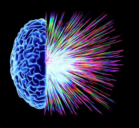 Brain Explosion Photograph By Alfred Pasiekascience Photo Library Pixels