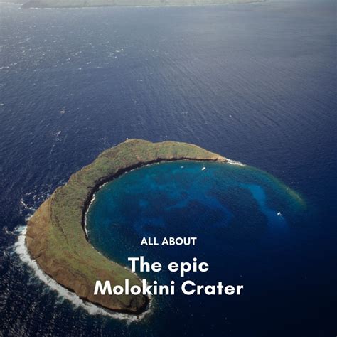 Molokini Crater In Maui An Epic Experience Molokini Crater Marine