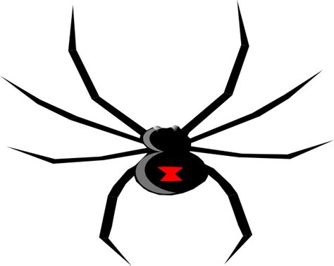 Best Photos Of Black Widow Spider Outline Black Widow Spider