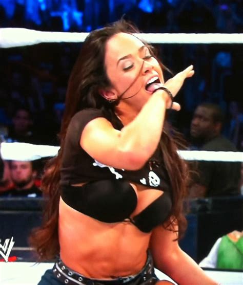 37 Hot Pictures Of Aj Lee Wwe Diva