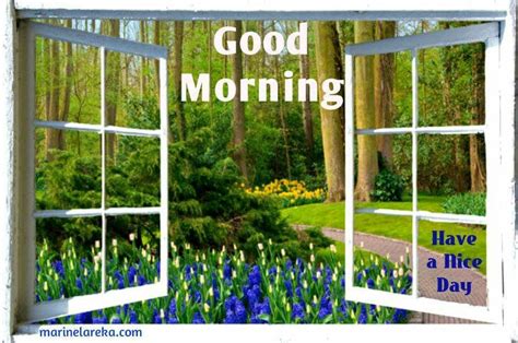 Good Morning Spring Flowers Image Quote Pictures Photos And Images