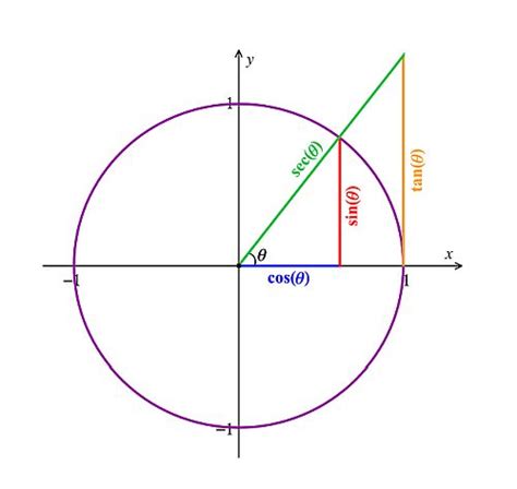 Circunferencia Trigonométrica Matemáticas