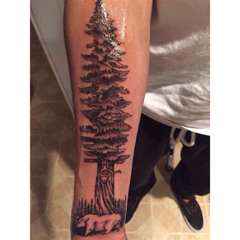 California Redwood Tattoo Tattoos Pinterest Redwood Tattoo