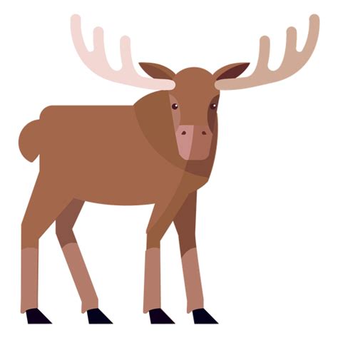 Moose Elk Antler Flat PNG SVG Design For T Shirts