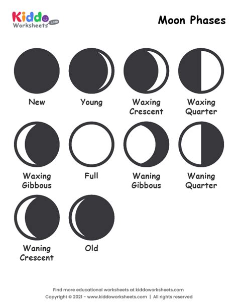 Phases Of The Moon For Kids Printable