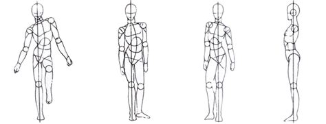 Detail Sketsa Anatomi Tubuh Manusia Koleksi Nomer 34