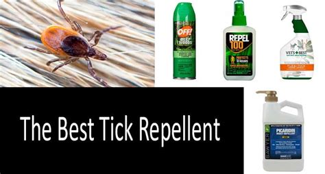 Top 18 Tick Repellents For Humans Dogs And Yard Approved By The Scientists