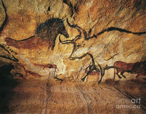 Bull Paintings At Lascaux Caves Photograph By Unknown