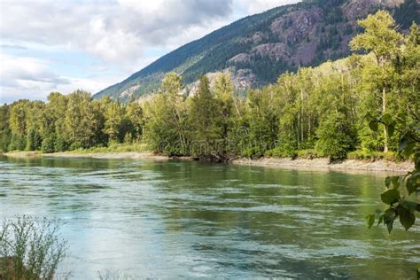 North Thompson River In Sunny Day Stock Image Image Of Forest Park