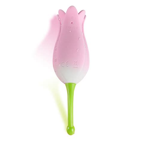 Us 90 00 Tulip Sex Toy Clitoral Vibrator For Women