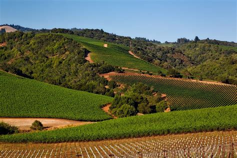 What Is The Most Scenic Drive From San Francisco To Napa? 2