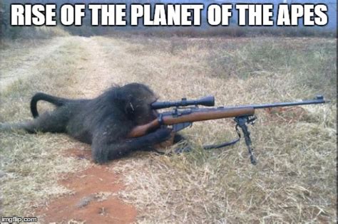 Funny Photos Of Animals With Guns