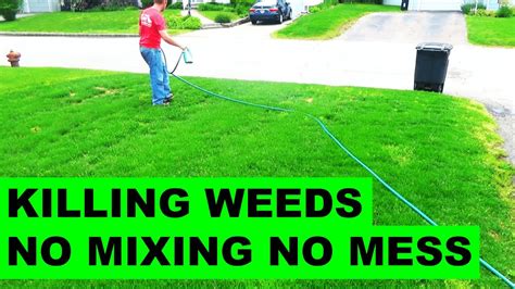 In order to get rid of it, you will need to use physical and, possibly, chemical methods of removal. Best Way To Control Weeds In Yard | TcWorks.Org