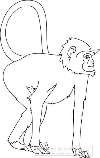 Pin The Tail On The Monkey Printable