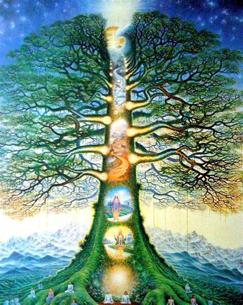 Trees Help Us Heal This Is How You Can Use Their Energy Tree Of Life