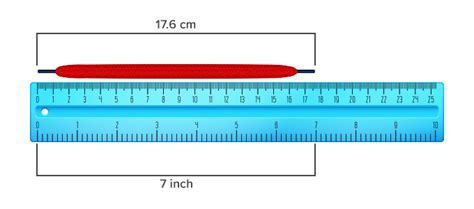 What Is Ruler Definition Facts And Example