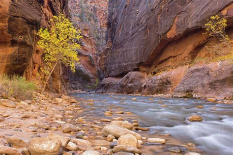 Usa Utah Zion National Park The Narrows Of The Virgin River Stock