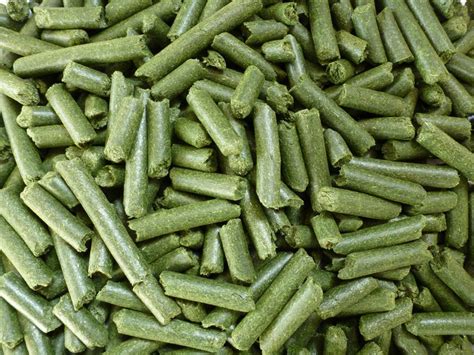 Emerald Green Grass Pellets Direct Farm Supplies