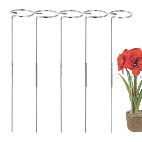 5 Pack Plant Support Stakes Garden Single Stem Flower Plant Support
