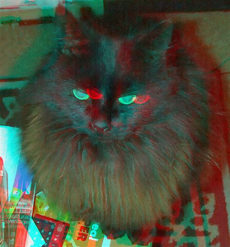 Black Cat 3d Anaglyph Red Blue Glasses To View Steve