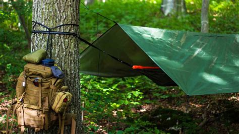 Building Survival Shelters Things You Need To Know