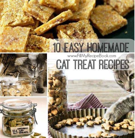 8 Easy Homemade Cat Treat Recipes Homemade Cat Treats Recipes Cat Treats Homemade Raw Cat