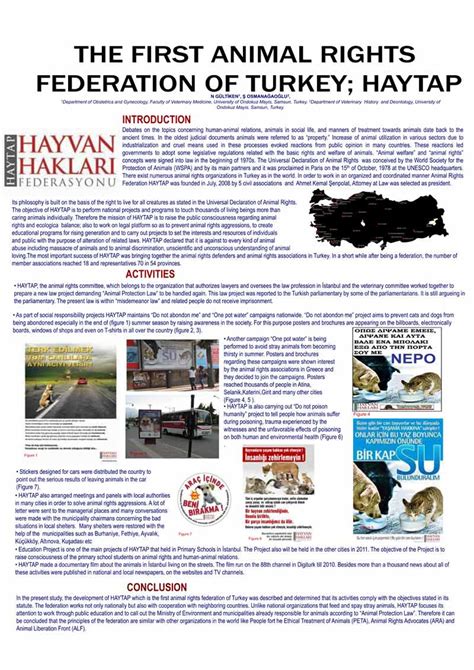 The First Animal Rights Federation Of Turkey Haytap English Content
