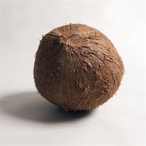 Free Images Food Produce Coconut Arecaceae Cocosmercias Flavor