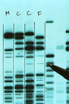 Just preview or download the desired file. DNA fingerprinting discovery was a happy accident, admits professor | Daily Mail Online