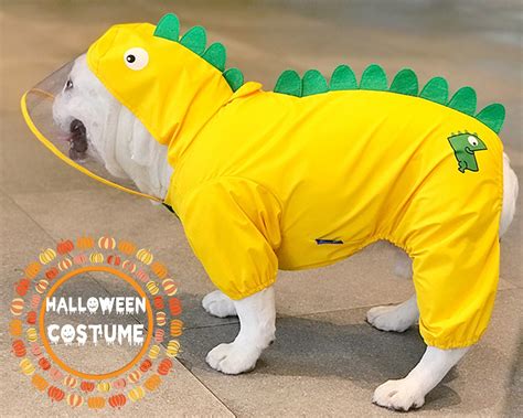 Disfraces De Perro Dinosaurio Para Halloween Traje De Etsy