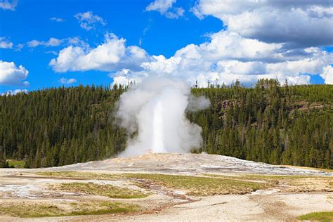 Yosemite Geyser Stock Photos Pictures And Royalty Free Images Istock