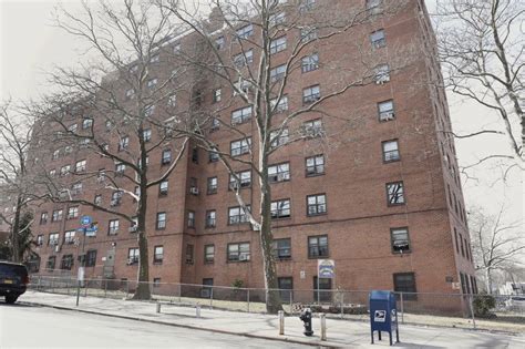 New Nycha Program Could Be The Best Thing To Happen To Nyc Public