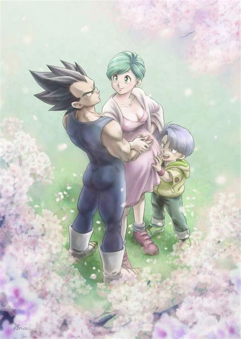 Bra V B Sarahw World Source Anime Dragon Ball Super Vegeta And Bulma Dragon Ball