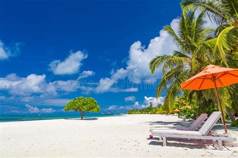 Amazing Scenery Relaxing Beach Tropical Landscape