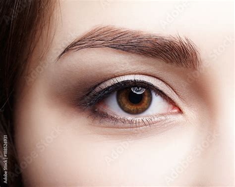 Closeup Macro Shot Of Human Brown Female Eye Woman With Natural Nude