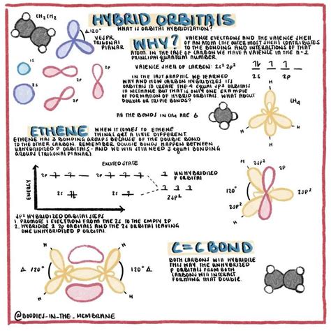 Organic Chemistry Educational Infographic Hybridization Of Sp2 Video