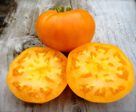 Amana Orange Beefsteak Tomato Heirloom Non Gmo Seeds Rare Etsy