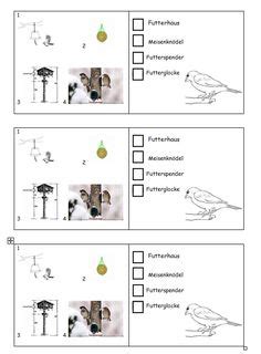 Grundschule Arbeitsblätter Vögel Im Winter Grundschule : Vogel